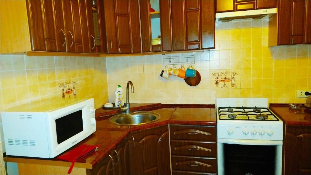 Апартаменты Уютная квартира с приятной атмосферой Bakhmut-22